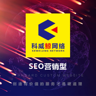 营销型企业网站建设定制