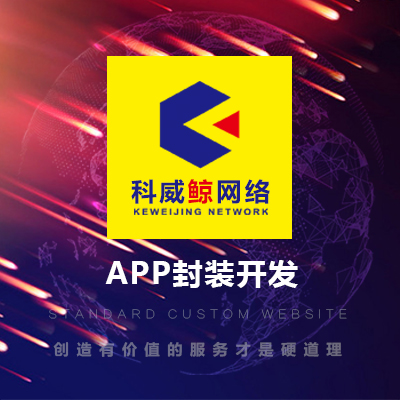 APP封装与网页版开发