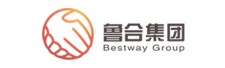 鲁合集团