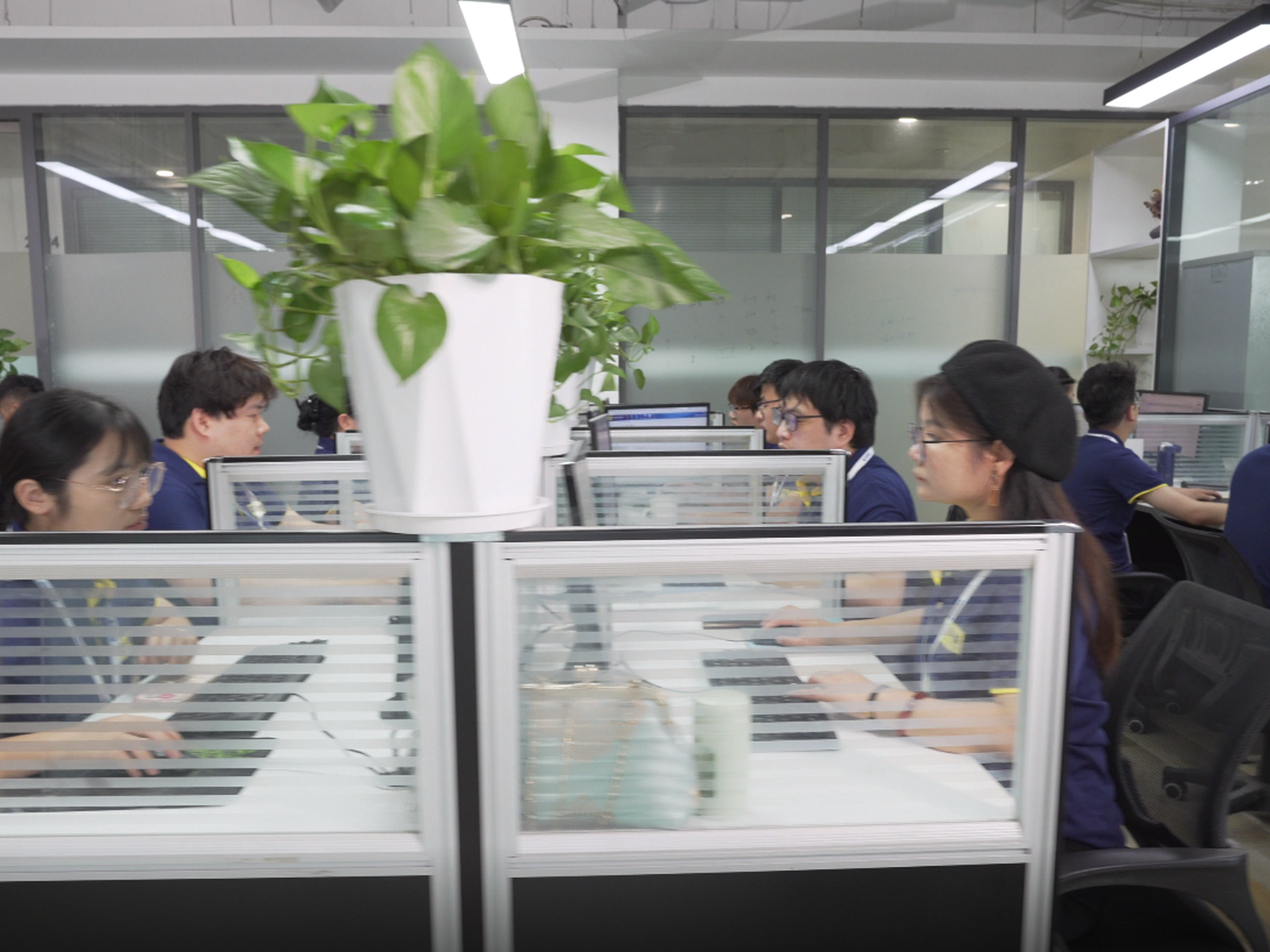 合肥小程序开发多少钱？不同功能需求报价对照表