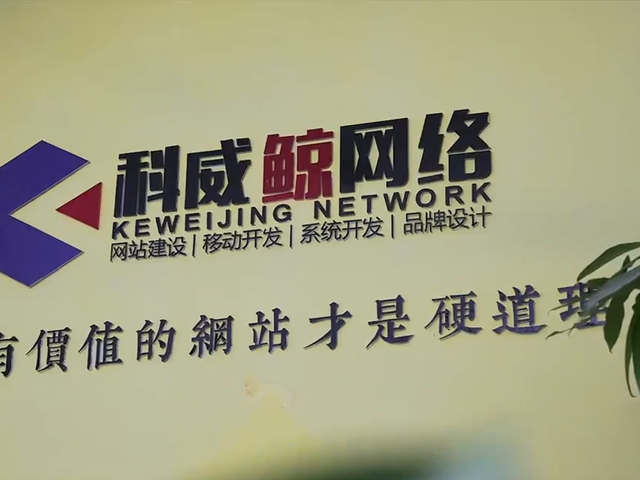 如何做好网站的整站优化？